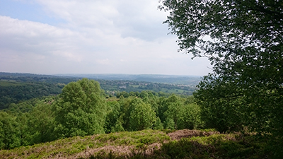 May 2016 Photo 7